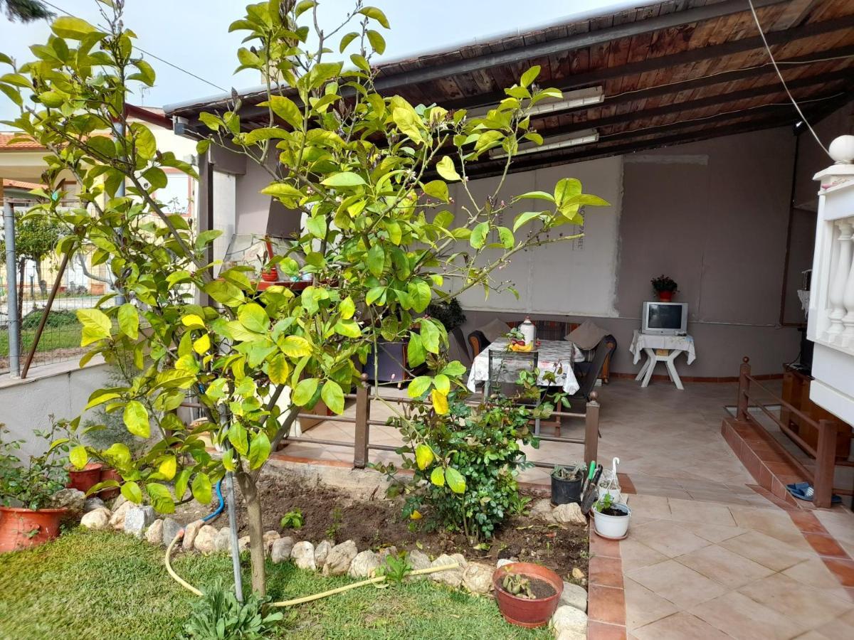 Villa Vangelis Néa Pláyia Exterior foto